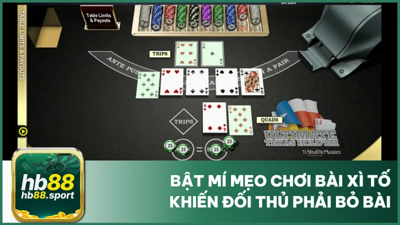 Bật Mí Mẹo Chơi Bài Xì Tố Khiến Đối Thủ Phải Bỏ Bài