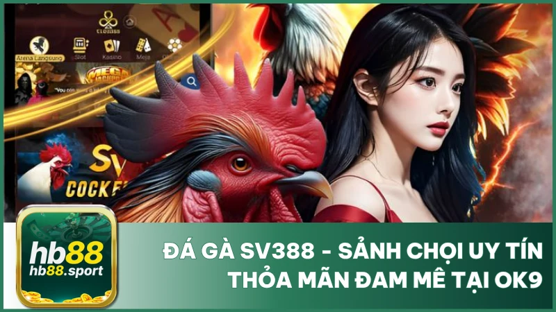 Đá Gà Sv388 - Sảnh Chọi Uy Tín, Thỏa Mãn Đam Mê Tại Hb88