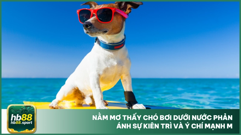 Nằm Mơ Thấy Chó - Chốt Ngay Số Đẹp Đánh Lô Tại Hb88 4 Nằm mơ thấy chó bơi dưới nước phản ánh sự kiên trì và ý chí mạnh mẽ